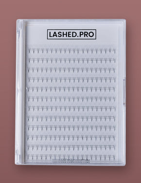 Pointy 5D XL Tray